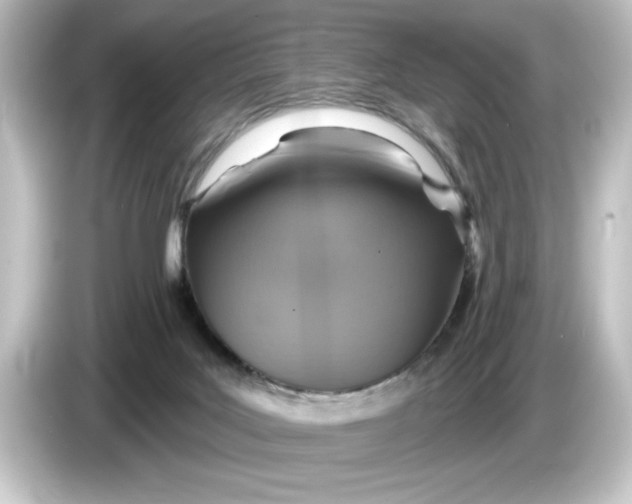 X0000084540027200703161636