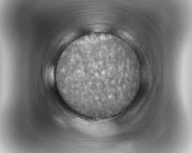 X0000084540028200703161636