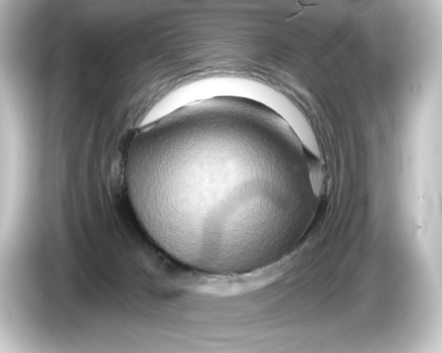 X0000084540029200703161636