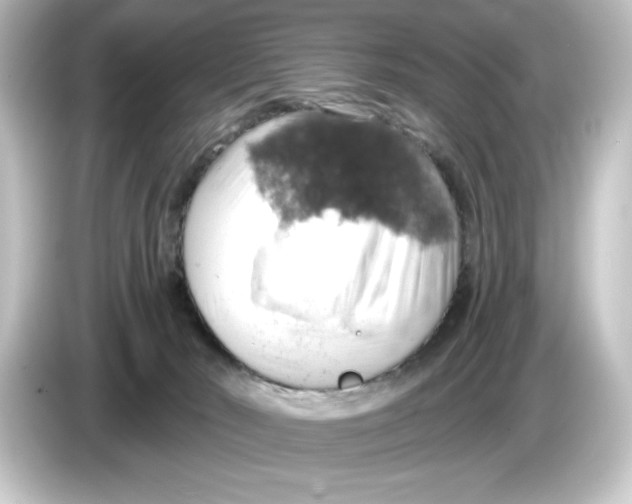 X0000084540030200703161636