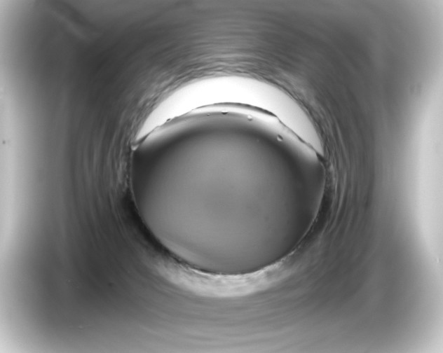 X0000084540031200703161636