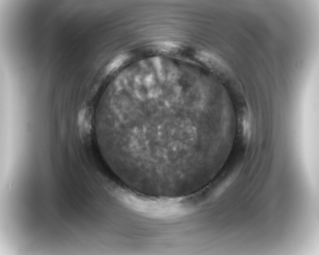 X0000084540032200703161636