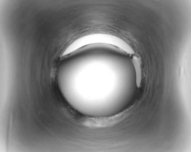 X0000084540033200703161636