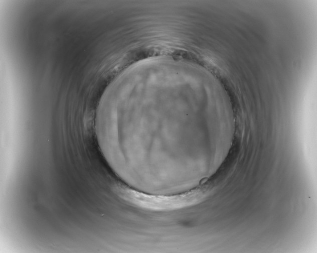 X0000084540034200703161636