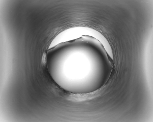 X0000084540041200703161636