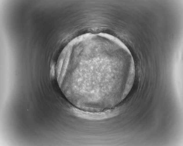 X0000084540042200703161636