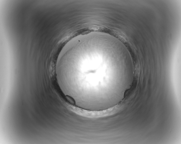 X0000084540043200703161636