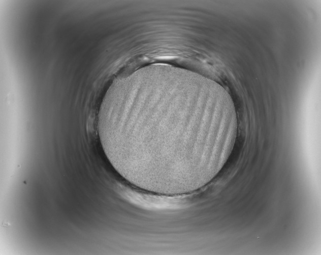 X0000084540044200703161636