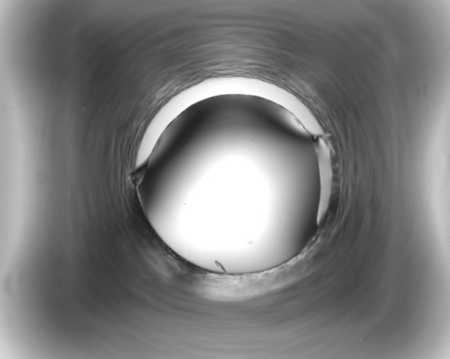 X0000084540045200703161636