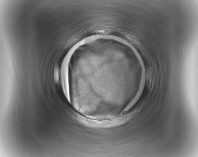 X0000084540046200703161636