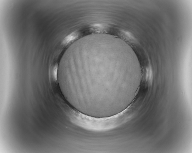 X0000084540047200703161636