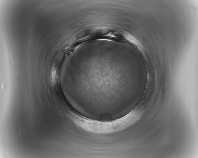 X0000084540048200703161636