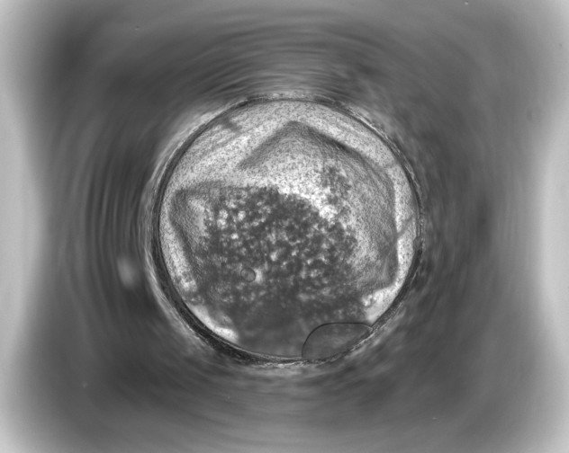 X0000084540049200703161636