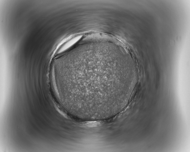 X0000084540050200703161636