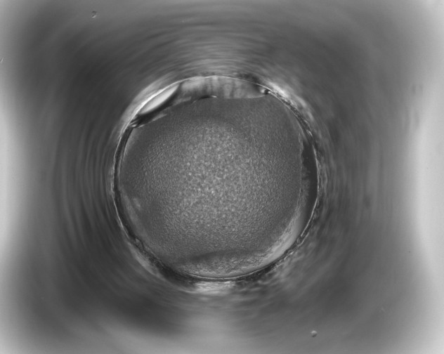 X0000084540051200703161636