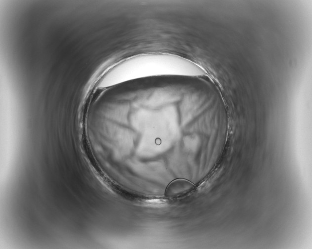 X0000084540053200703161636