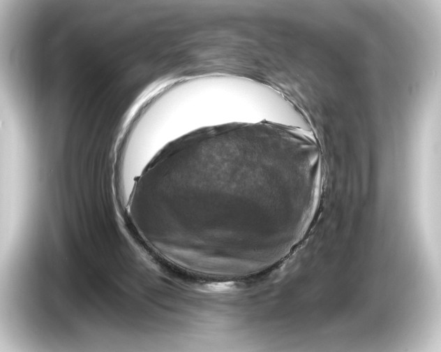 X0000084540054200703161636