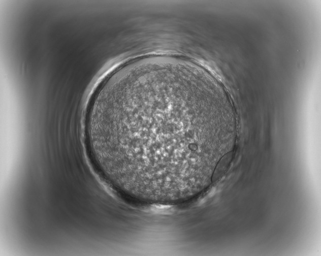 X0000084540055200703161636