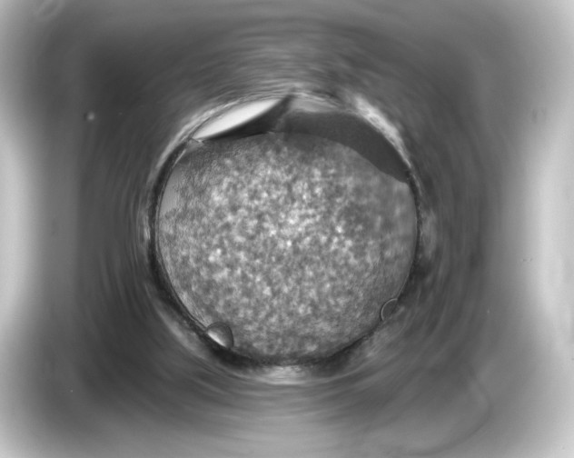 X0000084540059200703161636