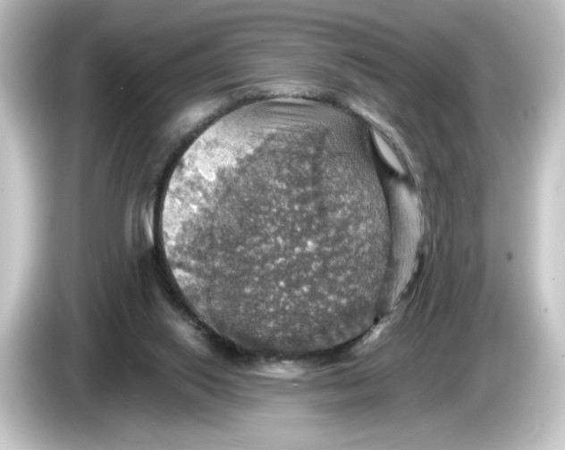 X0000084540062200703161636