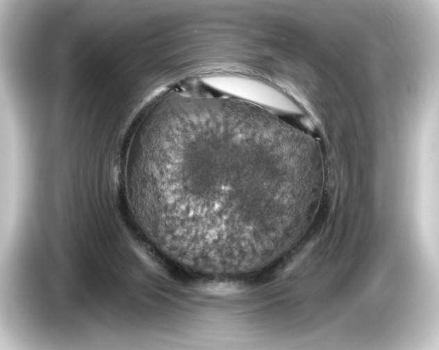 X0000084540063200703161636