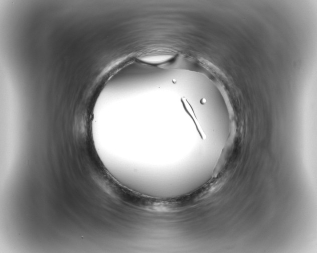 X0000084540064200703161636