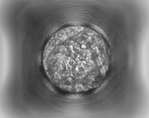 X0000084540065200703161636