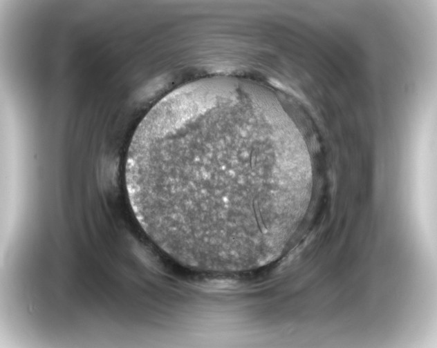 X0000084540066200703161636