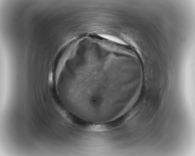 X0000084540067200703161636