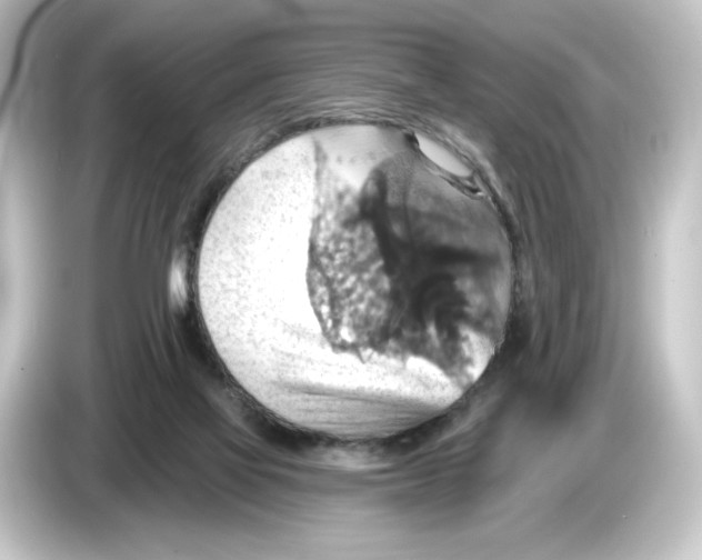 X0000084540069200703161636