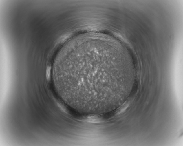 X0000084540070200703161636