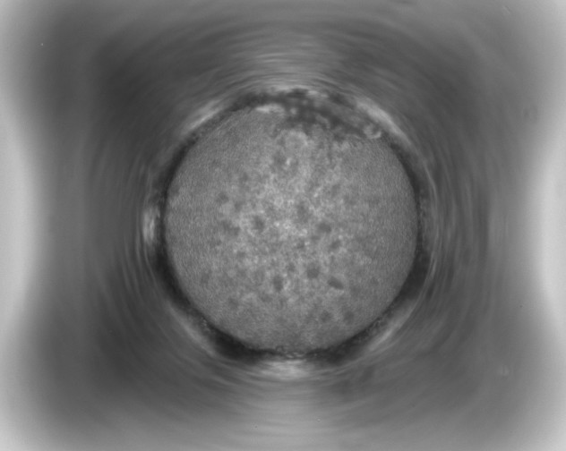 X0000084540071200703161636