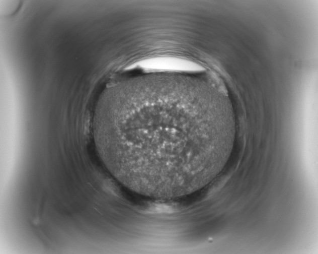 X0000084540073200703161636