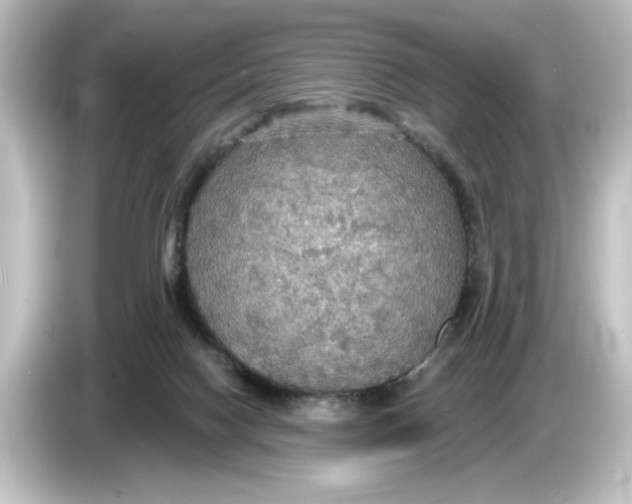 X0000084540074200703161636