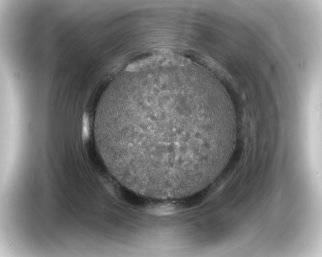 X0000084540075200703161636