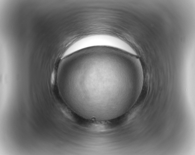 X0000084540076200703161636