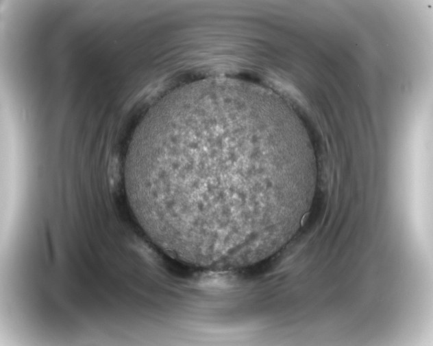 X0000084540077200703161636