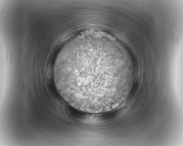 X0000084540078200703161636