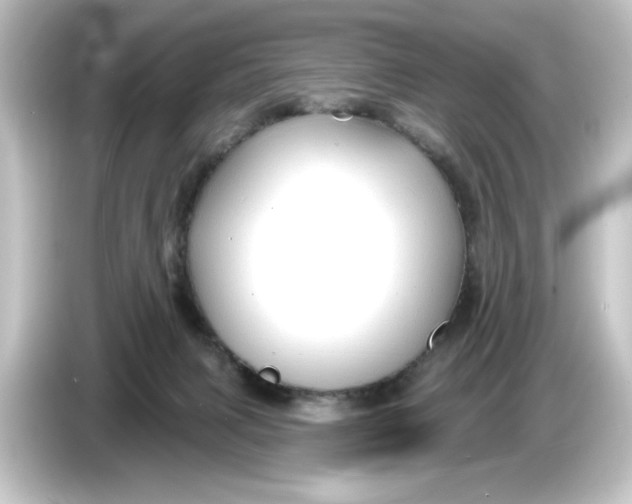 X0000084540079200703161636