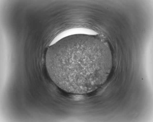 X0000084540085200703161636