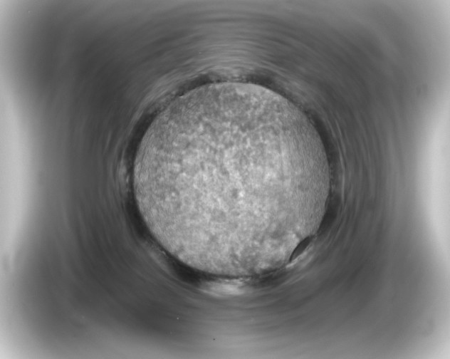 X0000084540086200703161636