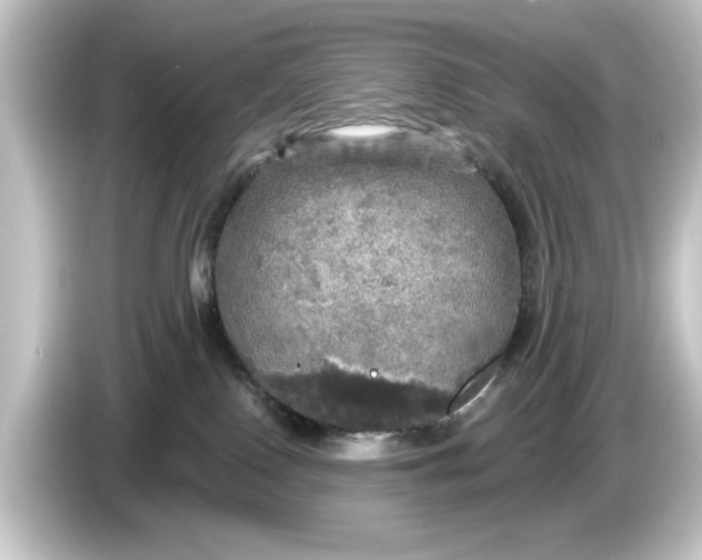 X0000084540090200703161636