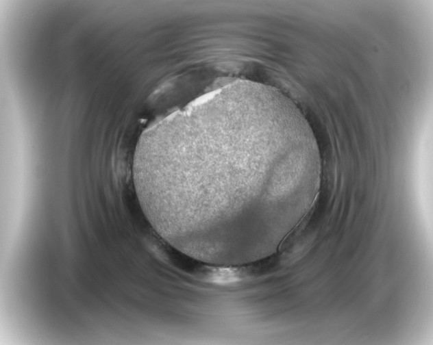 X0000084540091200703161636