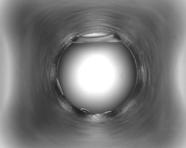 X0000084540092200703161636