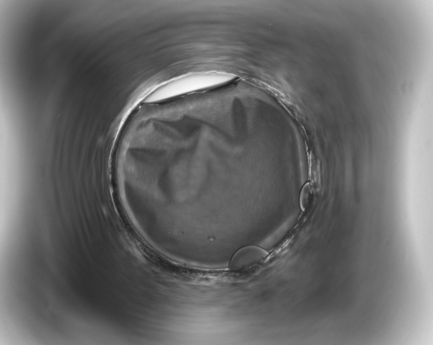 X0000084540099200703161636