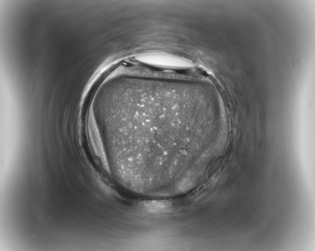 X0000084540102200703161635