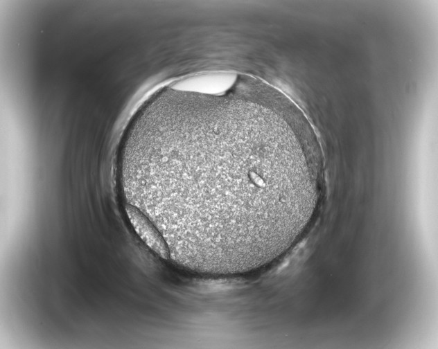 X0000084540103200703161635