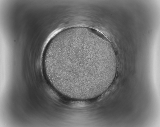 X0000084540104200703161635