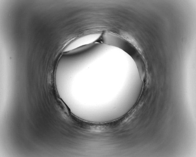 X0000084540105200703161635