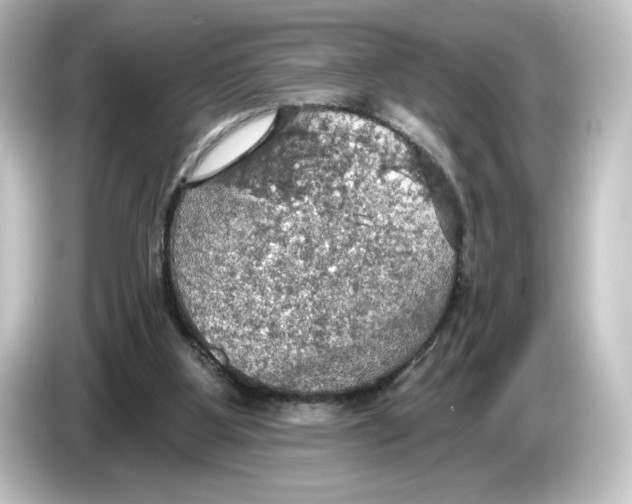 X0000084540107200703161635